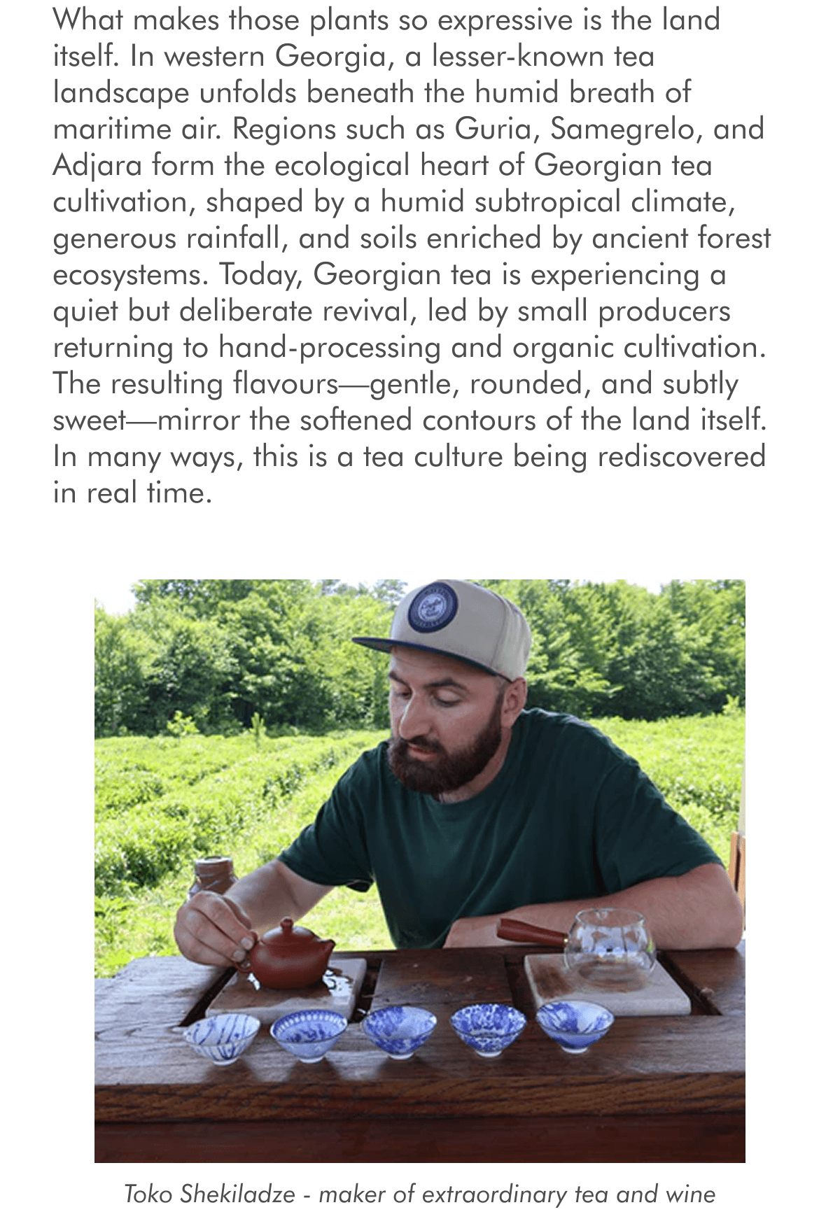 What makes those plants so expressive is the land itself. In western Georgia, a lesser-known tea landscape unfolds beneath the humid breath of maritime air. Regions such as Guria, Samegrelo, and Adjara form the ecological heart of Georgian tea cultivation, shaped by a humid subtropical climate, generous rainfall, and soils enriched by ancient forest ecosystems. Today, Georgian tea is experiencing a quiet but deliberate revival, led by small producers returning to hand-processing and organic cultivation. The resulting flavours—gentle, rounded, and subtly sweet—mirror the softened contours of the land itself. In many ways, this is a tea culture being rediscovered in real time.