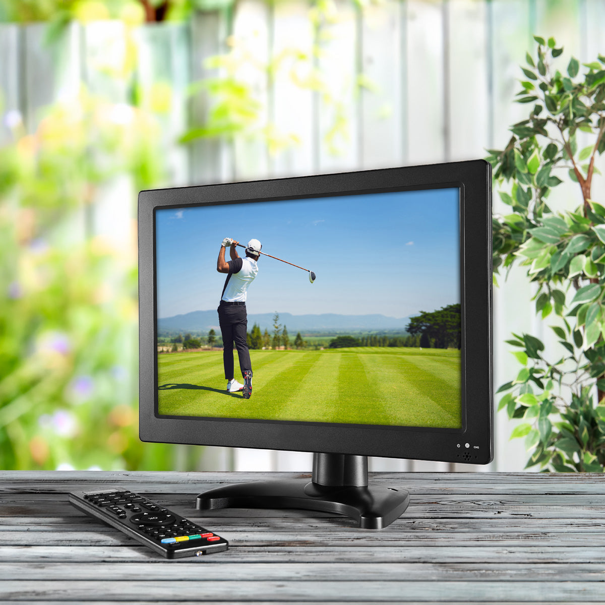 Image of 13.3'' Portable Digital TV