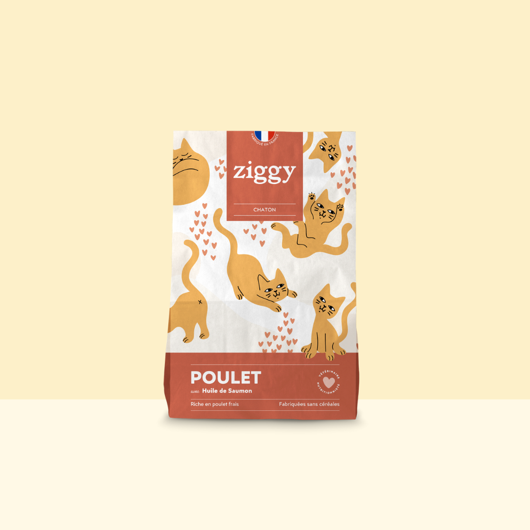 Image of Croquettes Chaton - Poulet & Huile de Saumon