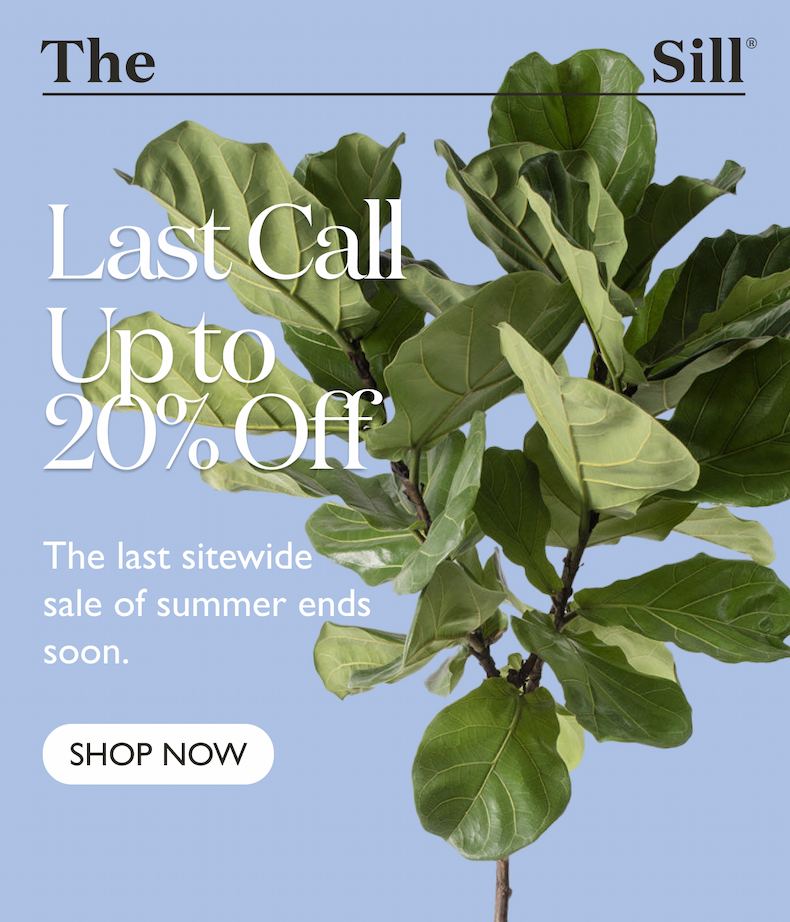 Final hours. The last sitewide sale of summer ends soon.