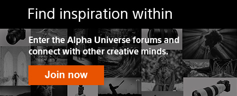 Find inspiration within | Enter the Alpha Universe forums and connect with other creative minds. | Join now
