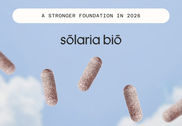 A stronger foundation in 2026