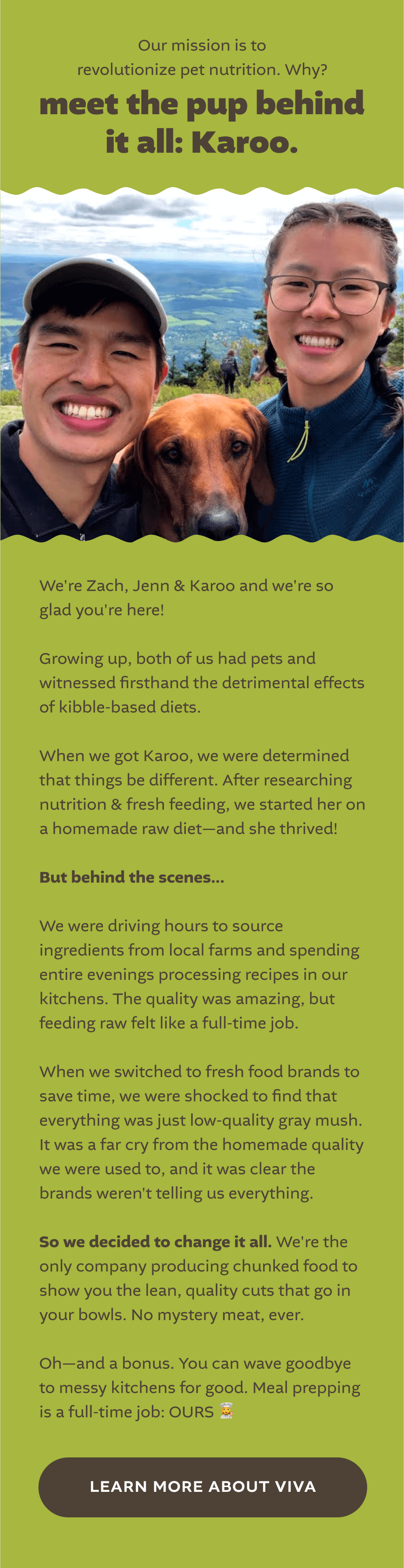 Our mission is to revolutionize pet nutrition. Why?   meet the pup behind it all: Karoo.  [ LEARN MORE ABOUT VIVA ]