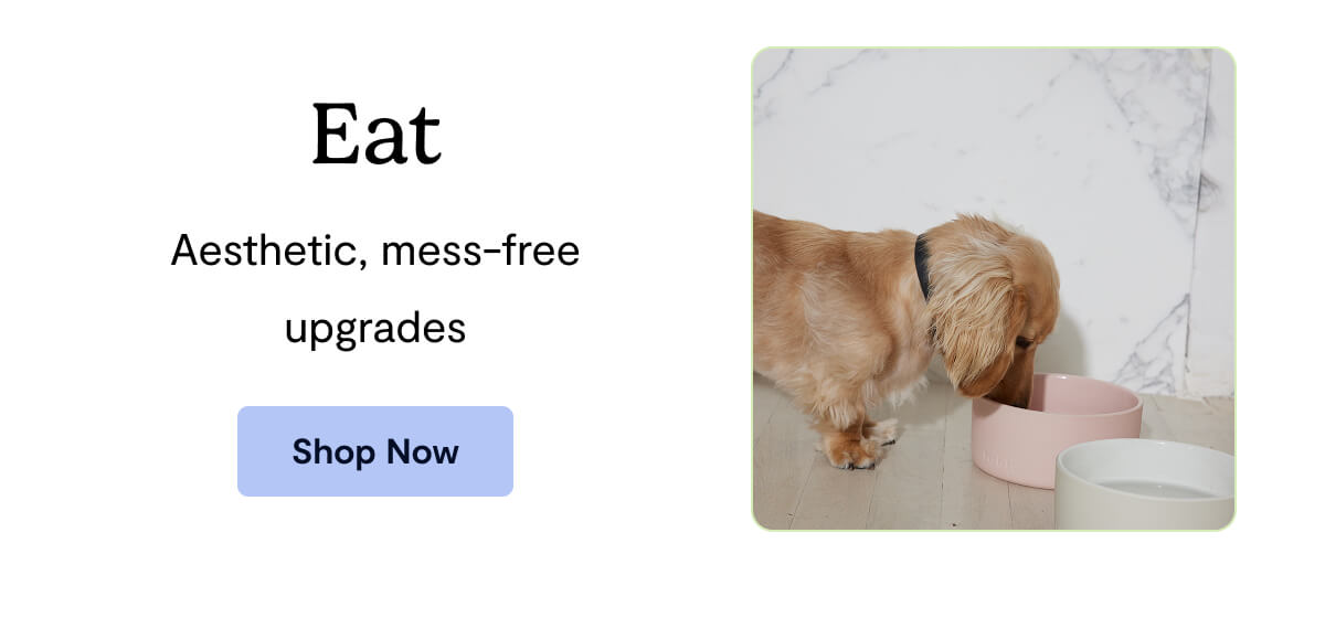 Eat - Aesthetic, mess-free upgrades