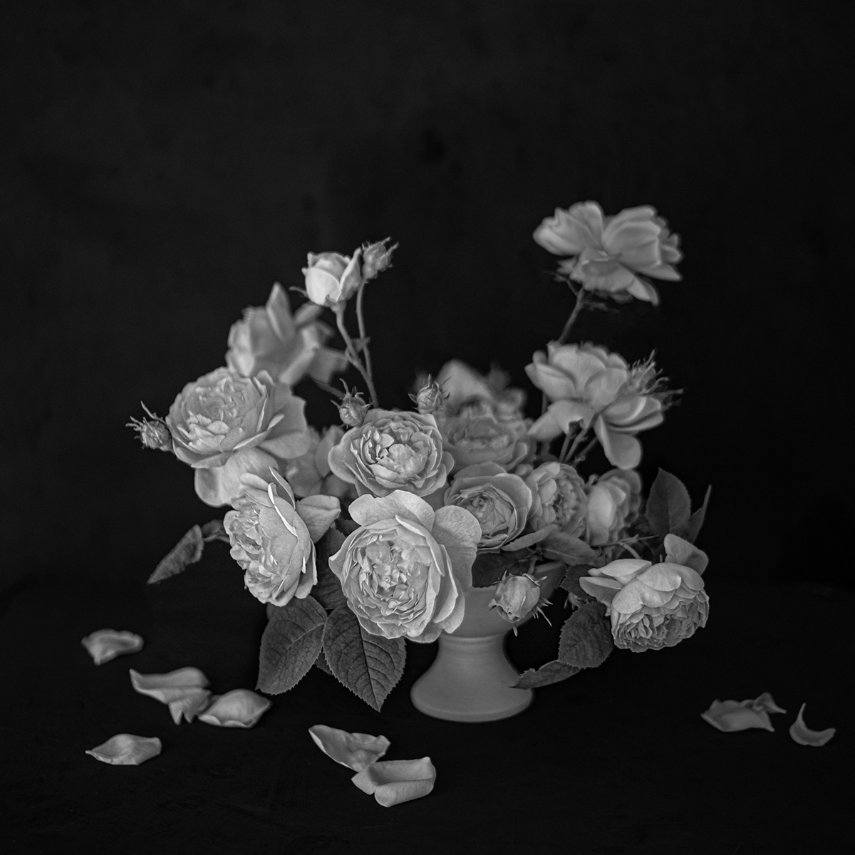 Brand new artists