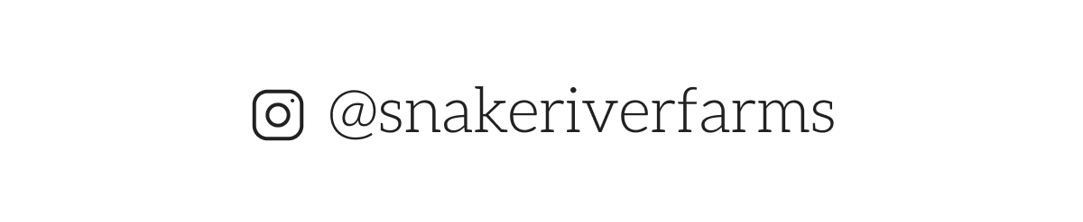 July 4th 25% off summer favorites