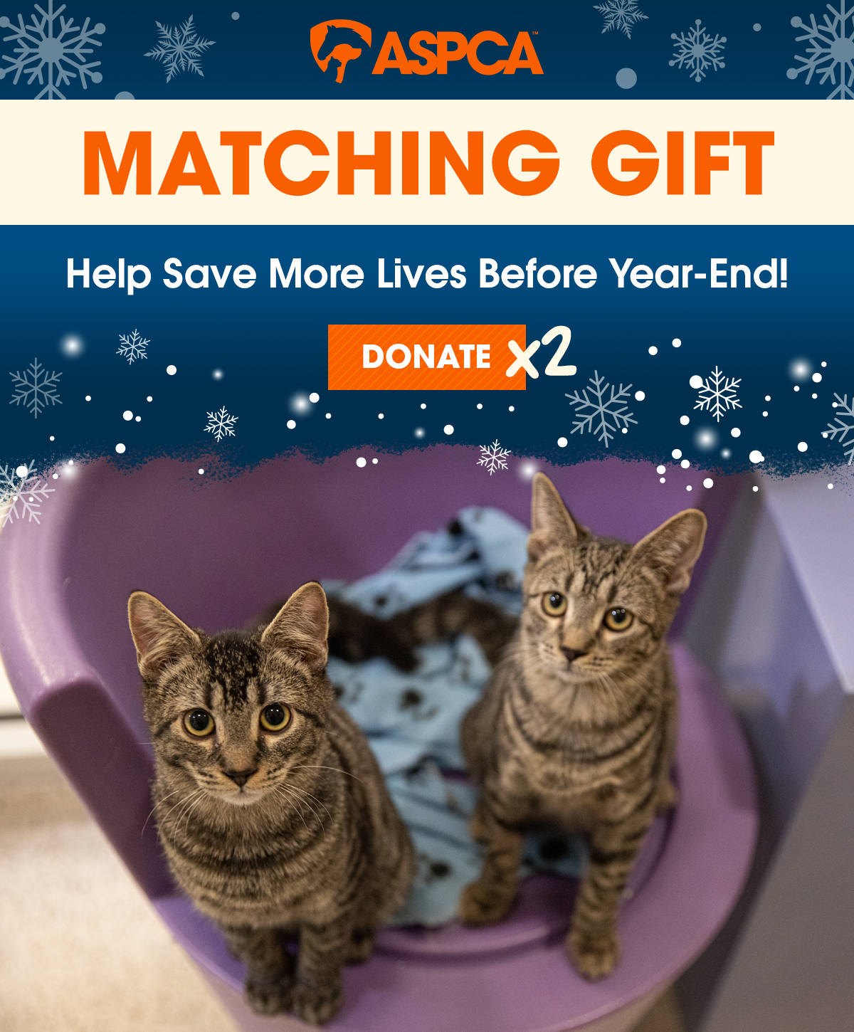Help Save More Lives Before Year-End!  