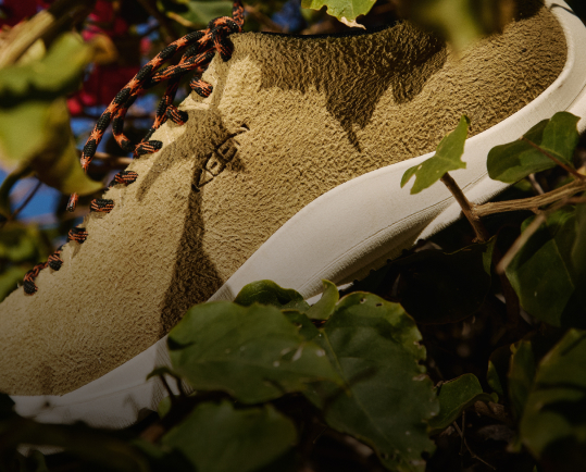 Your Feel-Good Sneaker