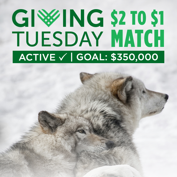 Giving Tuesday $2 to $1 Match. $350,000 goal.
