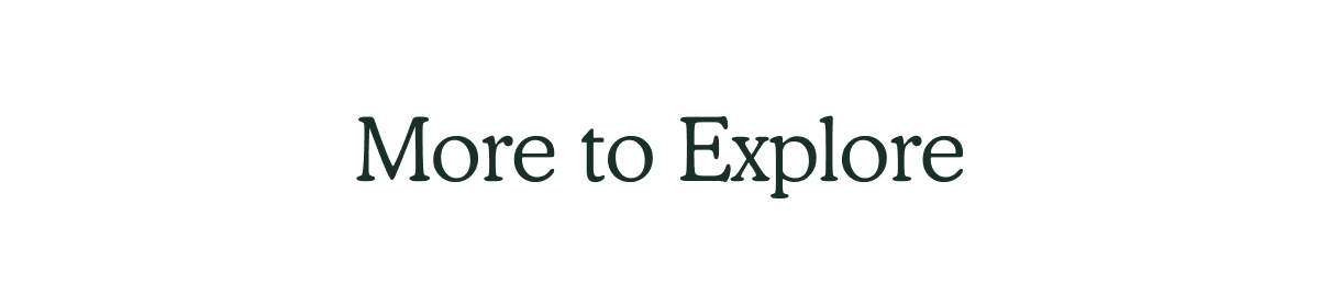 More to Explore