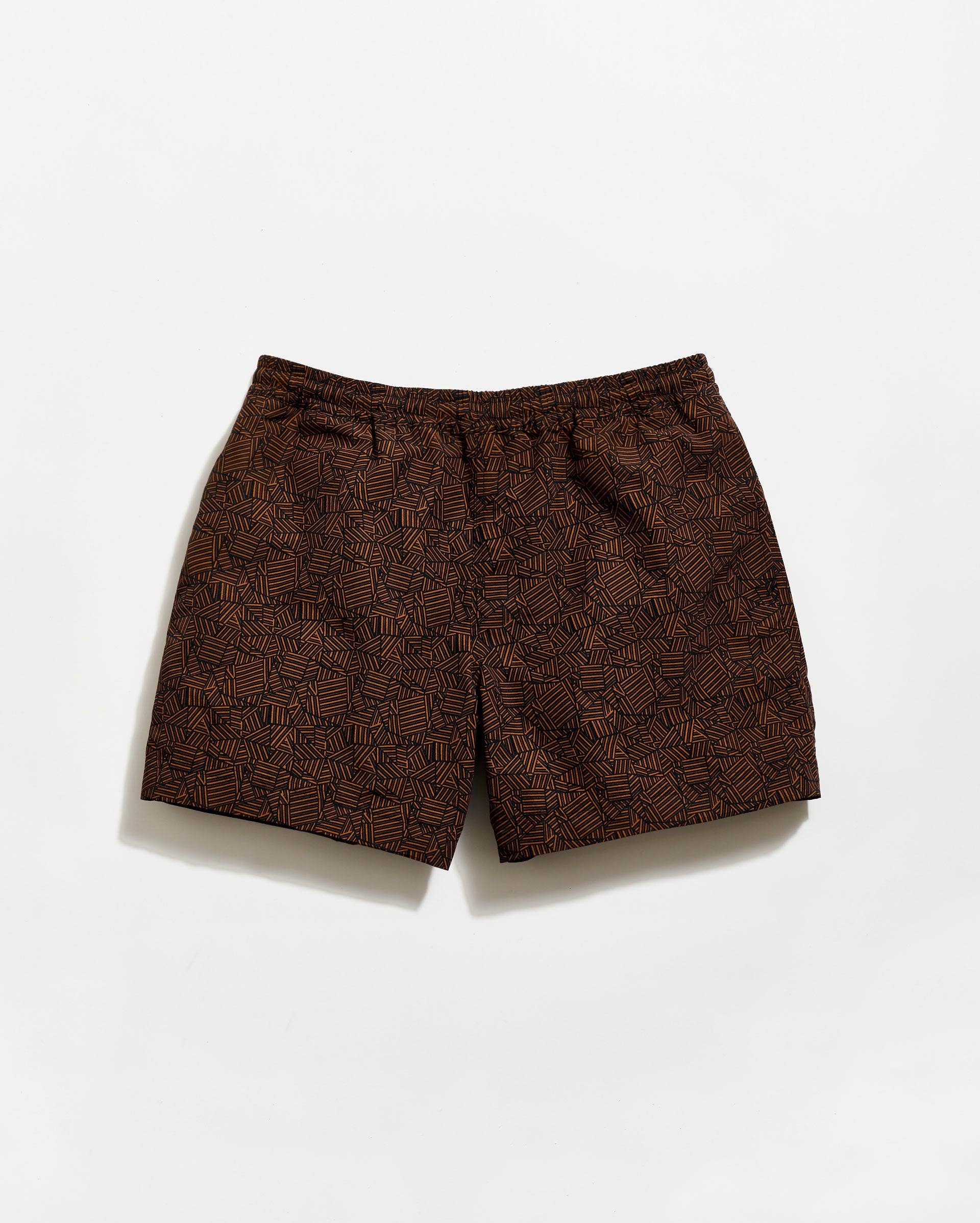Image of Tossed Ribbon Swim Trunk