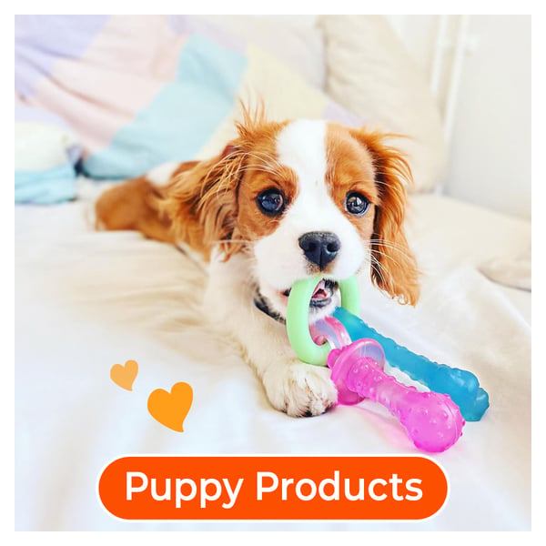 puppy products