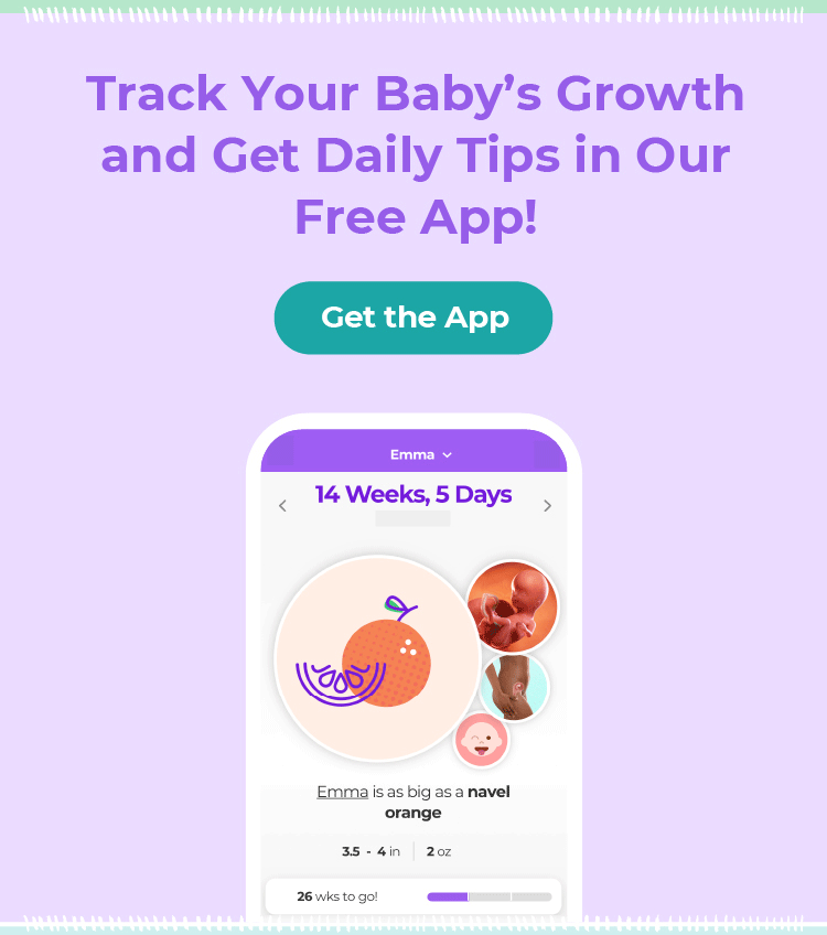 Get the App