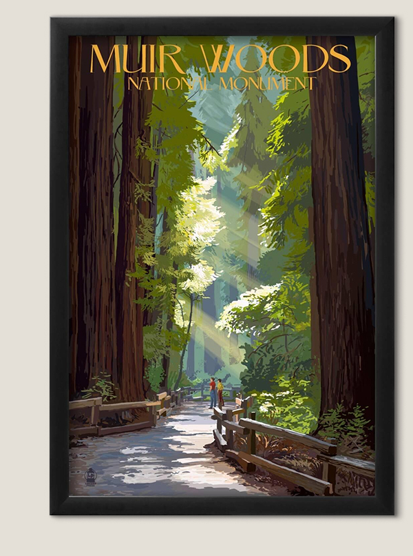 Muir Woods National Monument California