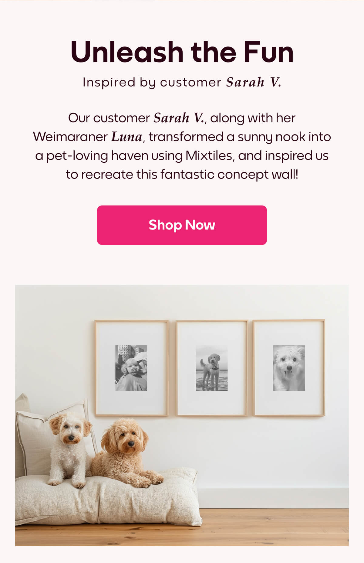 [MIXTILES] Easily fill your home with the memories that matter most with Mixtiles. | ORDER NOW