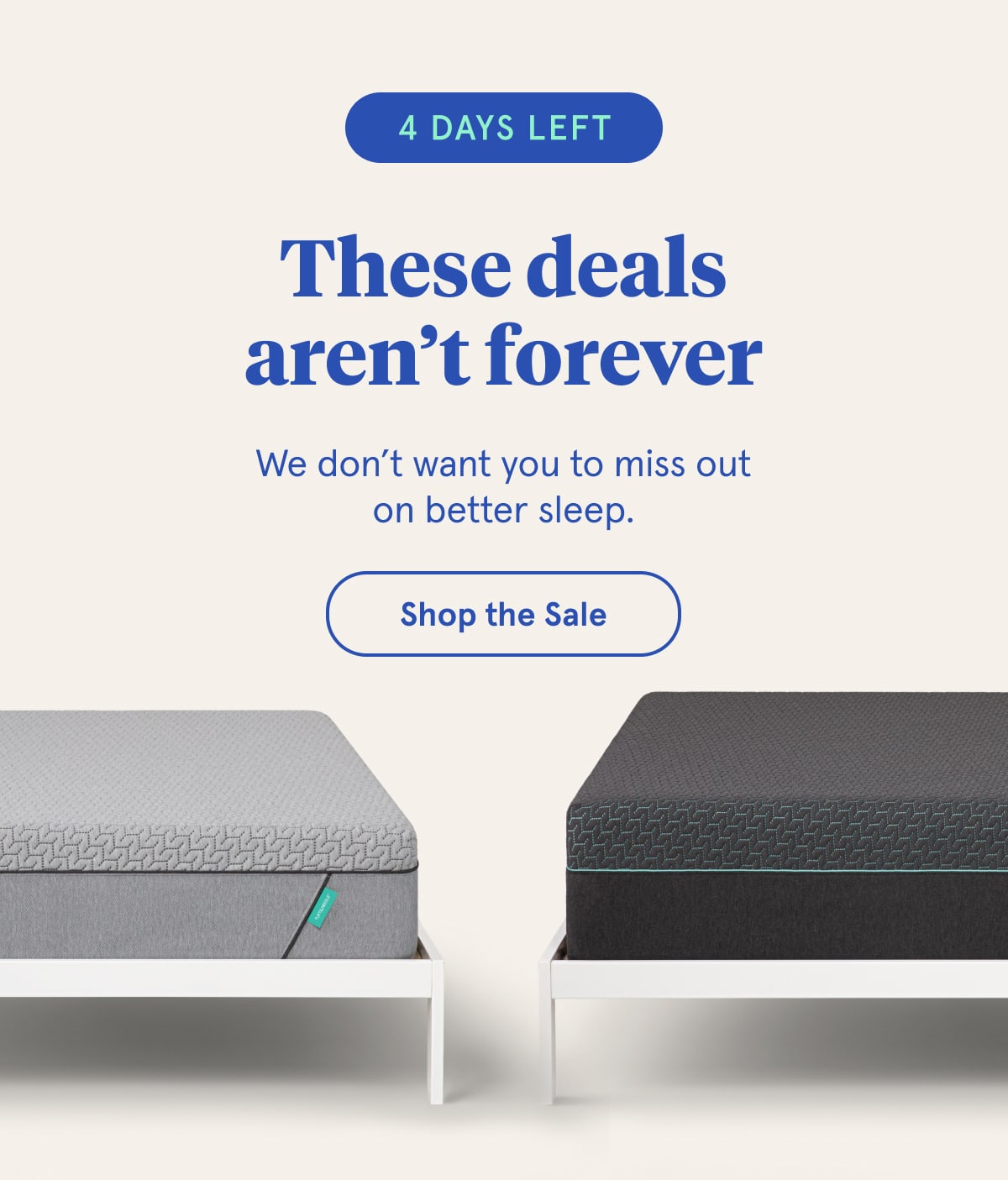 4 Days Left | These deals aren't forever | Shop the Sale