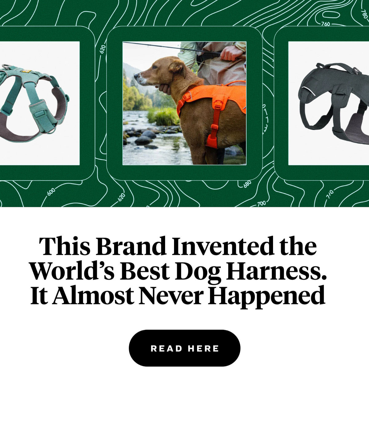 This Brand Invented the World’s Best Dog Harness. It Almost Never Happened