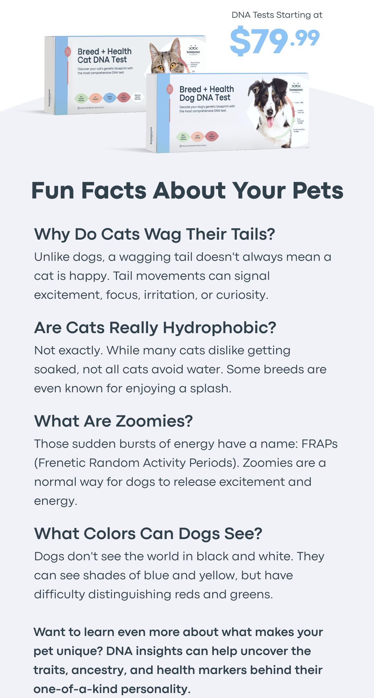 Start Personalized Care - Cat