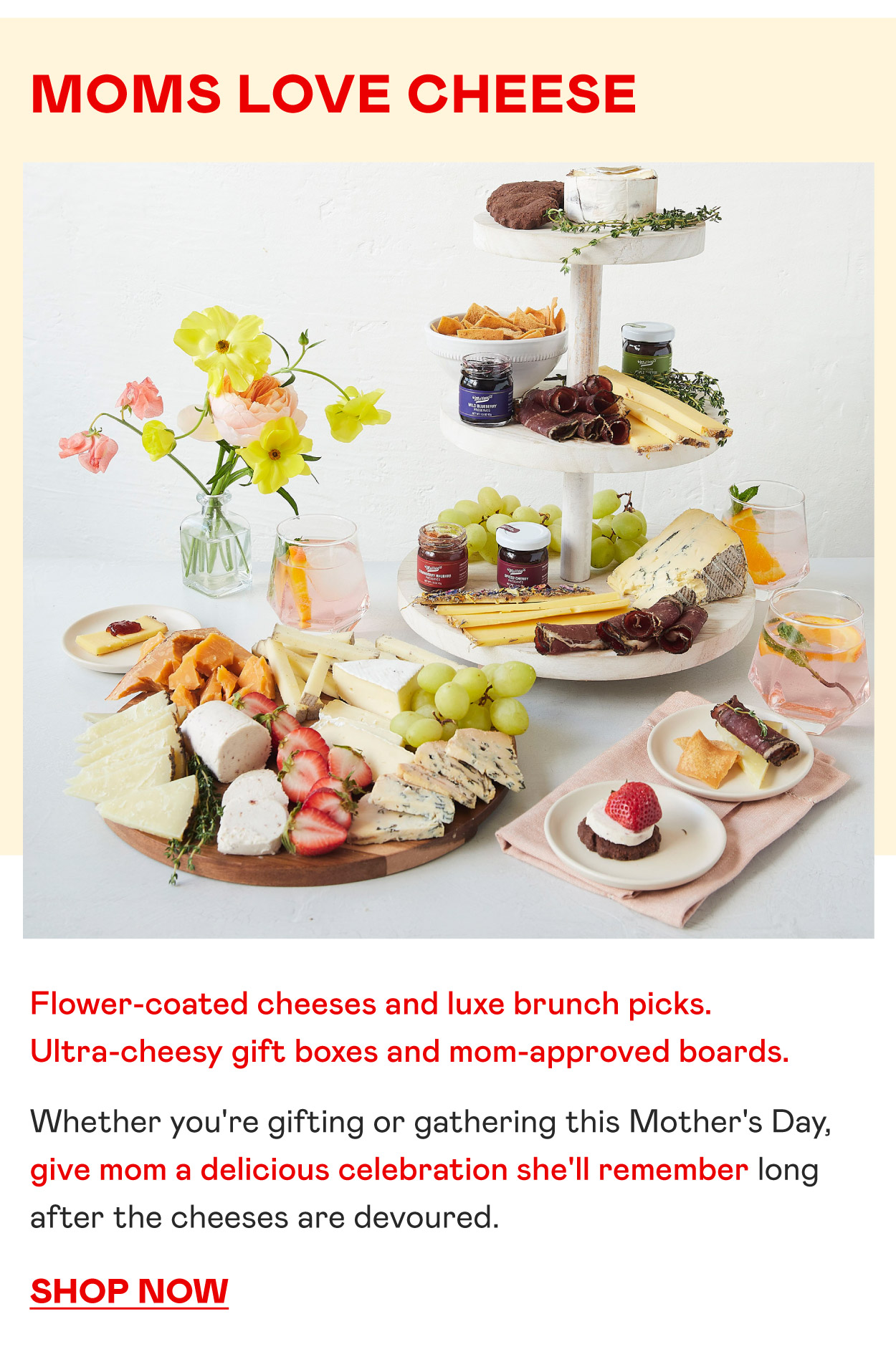Moms Love Cheese​