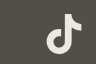 TikTok social media icon.
