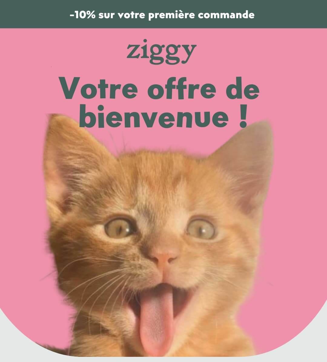 Ziggy