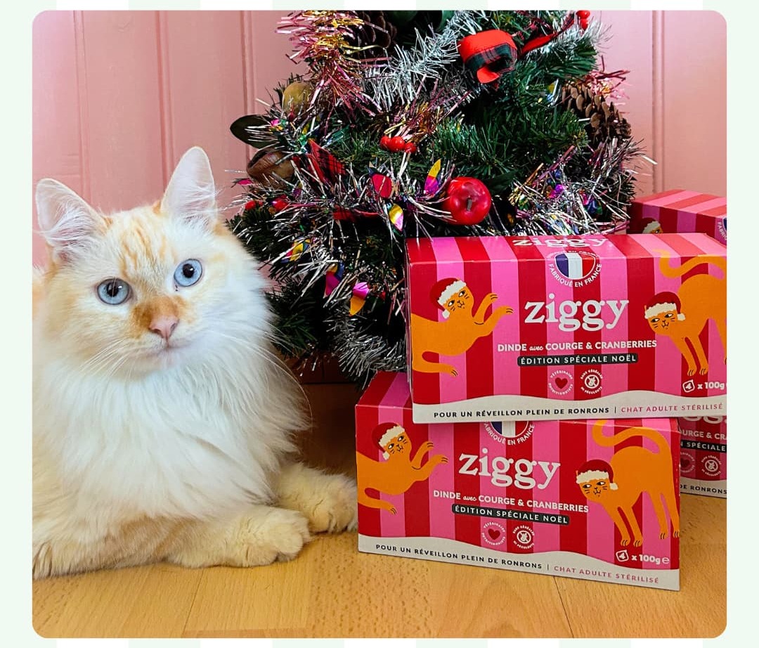 La pâtée de Noël