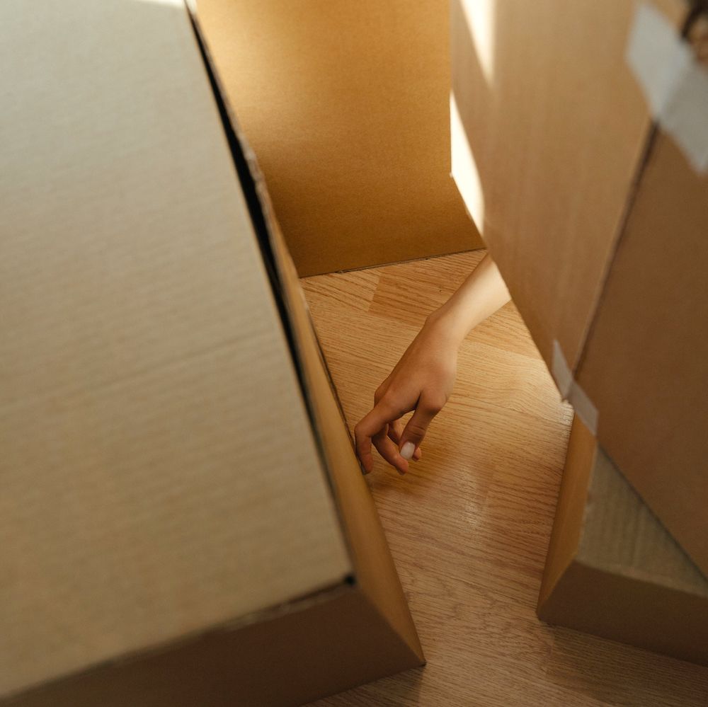 A hand extends into view from behind a pile of sunlit cardboard boxes. 