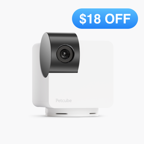 Cam 360