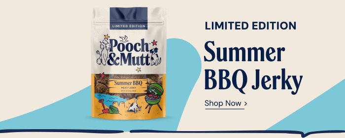 Summer BBQ Jerky