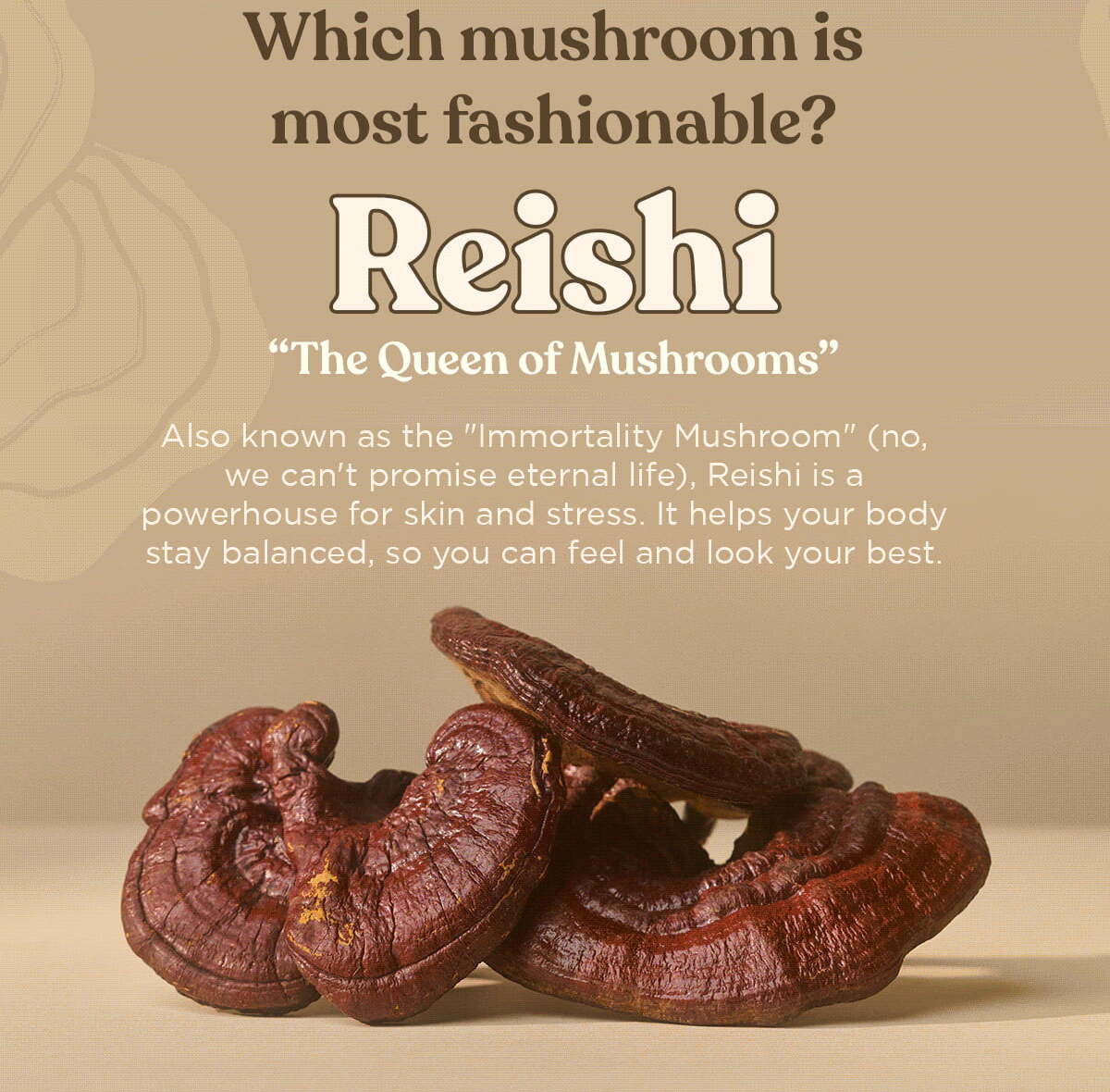 Reishi The Queen of Mushrooms