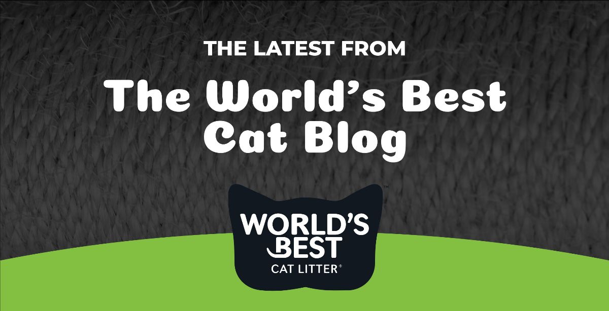 The World's Best Cat Blog