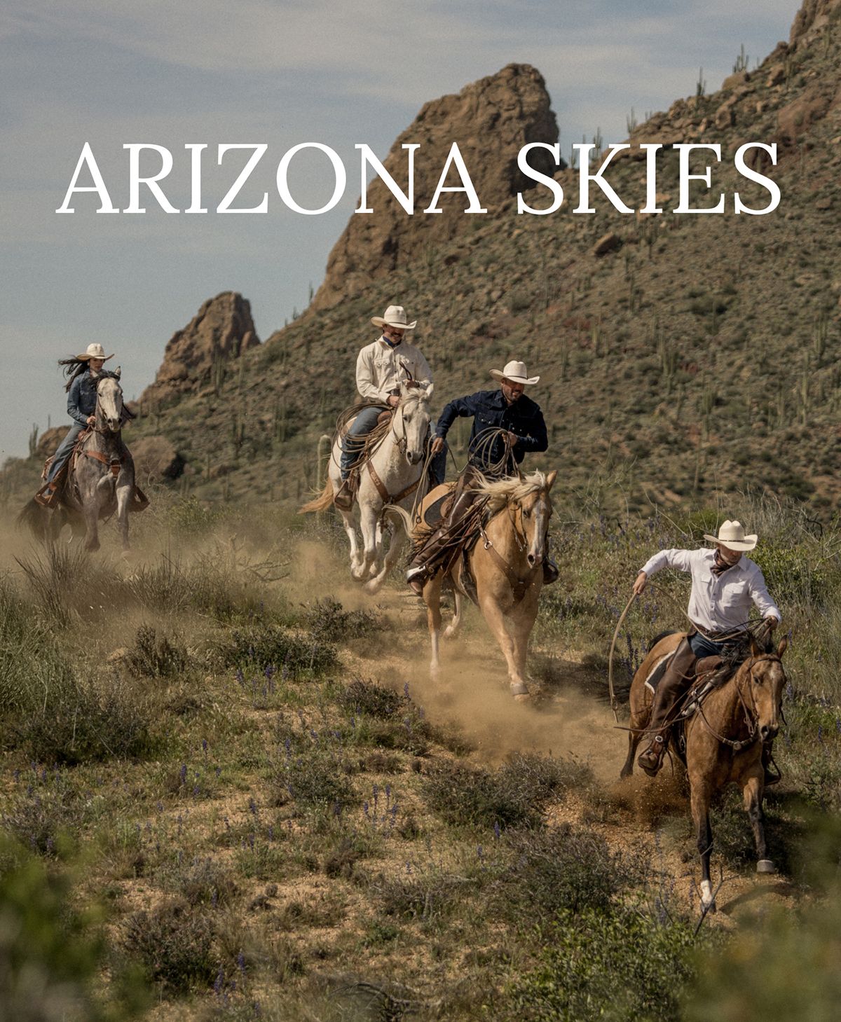 ARIZONA SKIES