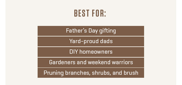 Give Dad a gift he'll actually use! 20% off our mighty Mini Chainsaw.