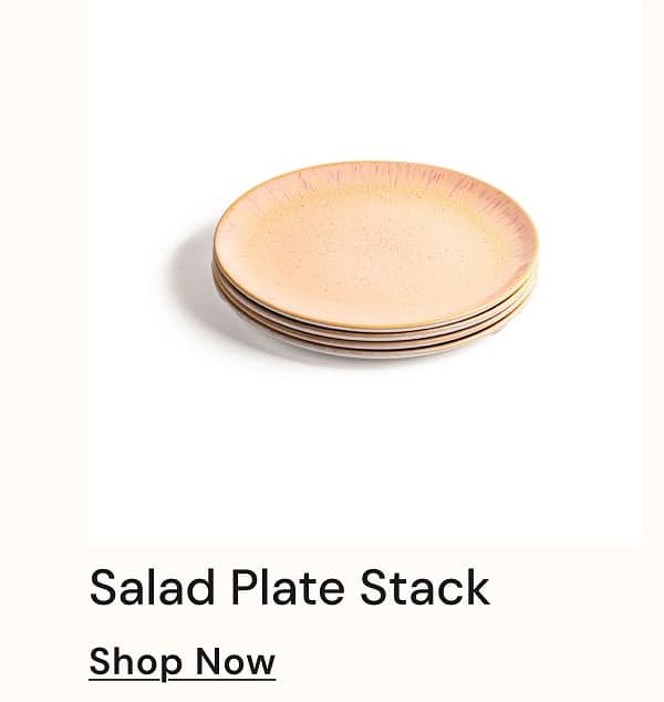 Salad Plate Stack Shop Now