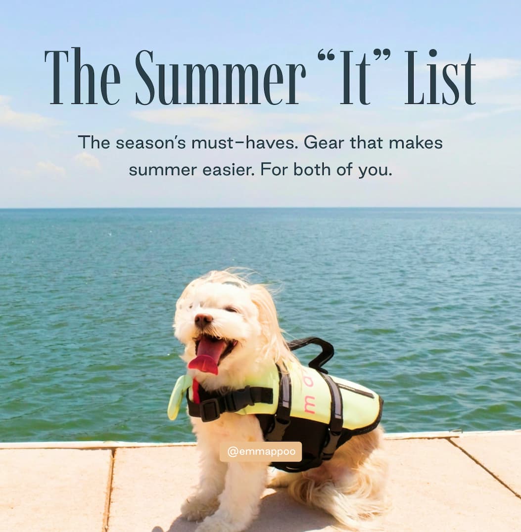 Summer must-haves