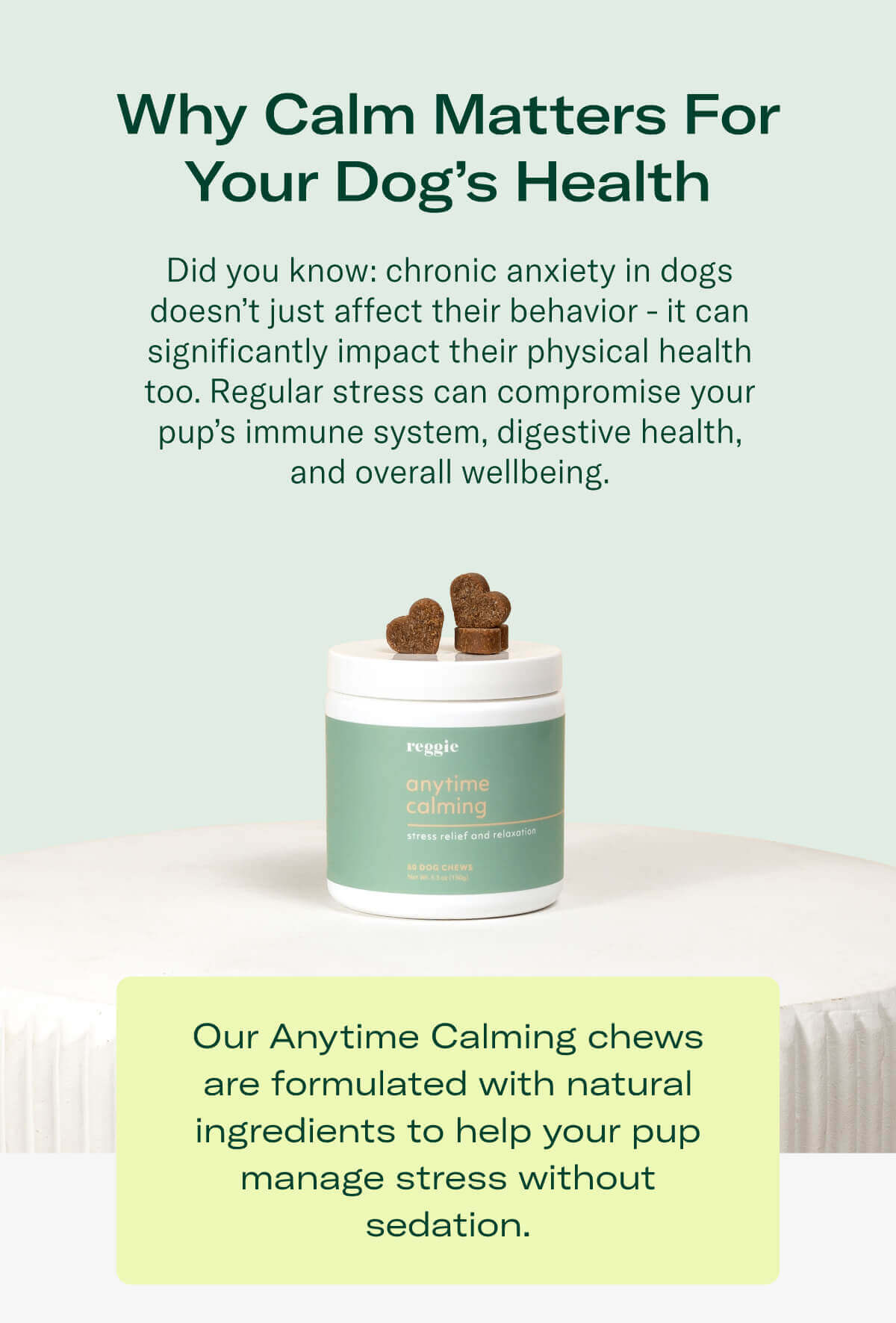 Why Calm Matters For Your Dog’s Health