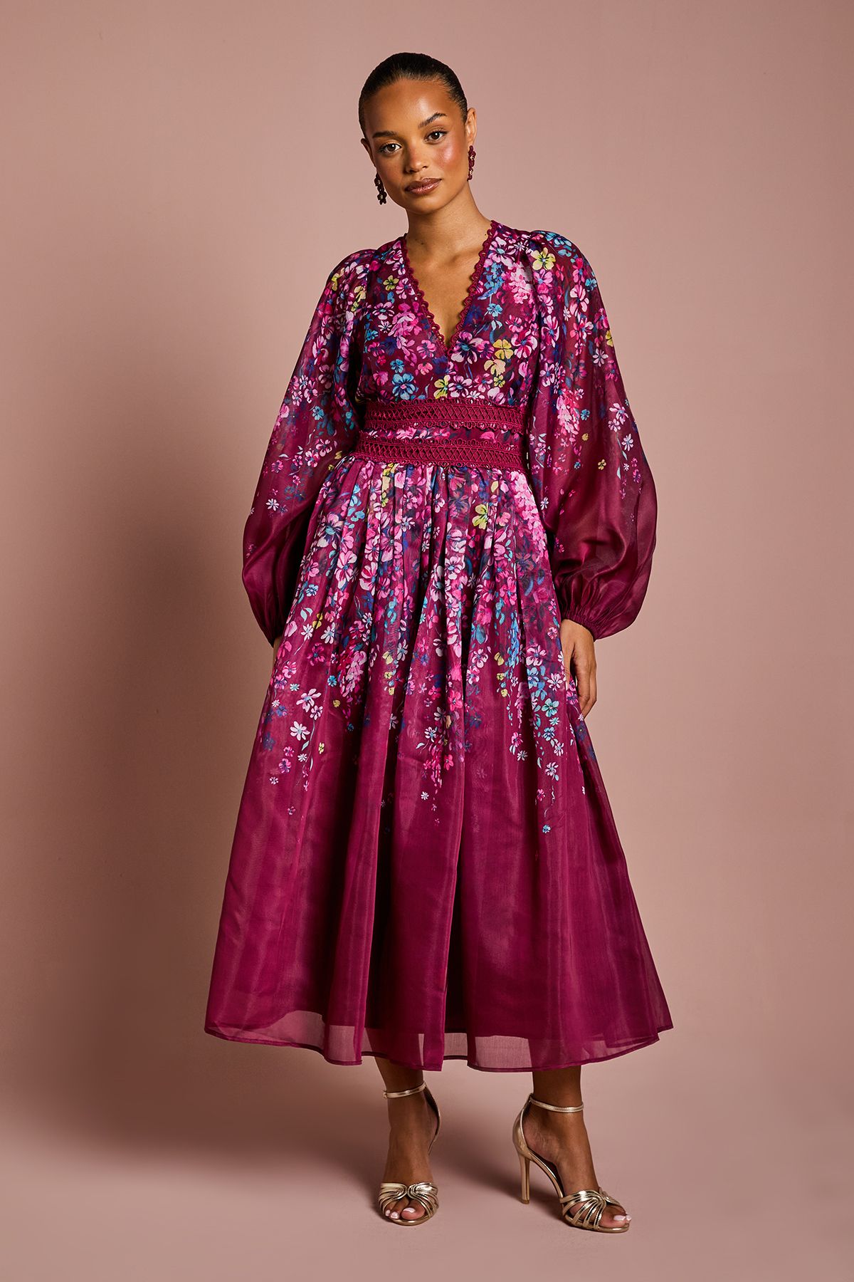 Petite Organza Floral Placement Lace Trim Midaxi Dress