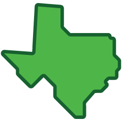 Texas icon