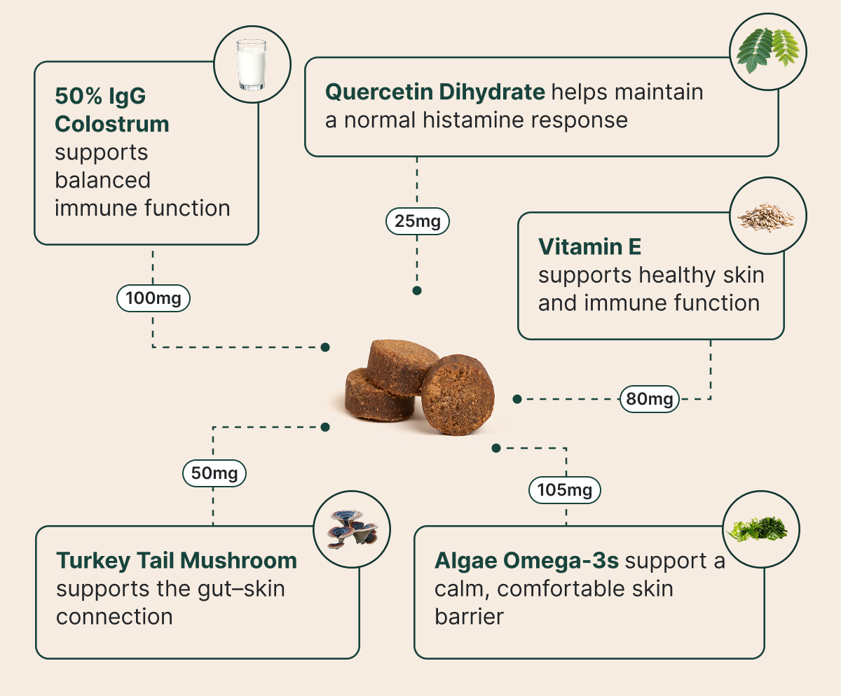 Allergy & Itch Chew Ingredients