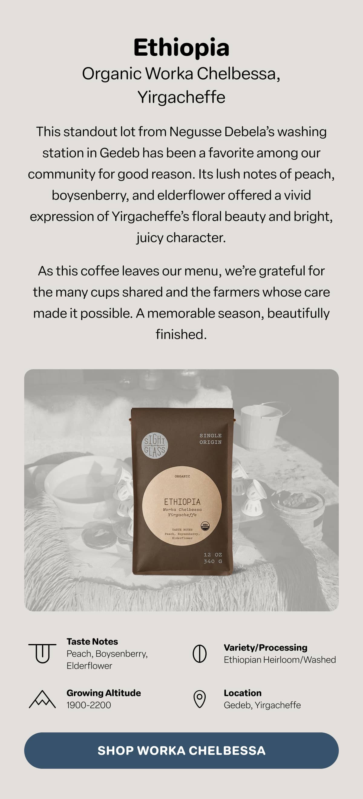 Ethiopia, Worka Chelbessa, Yirgacheffe
