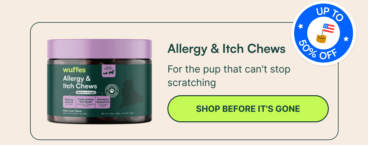 Allergy & Itch Chews