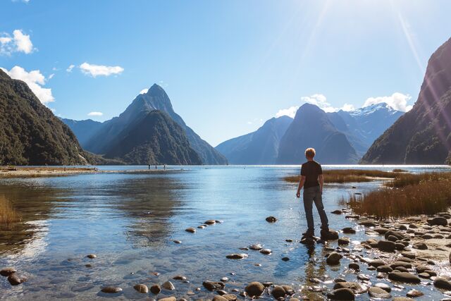 Admire the view at Milford Sound