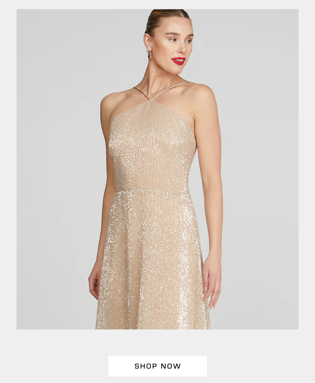 Shop NowDenise Sequins Midi