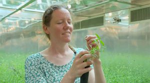 Emily Bruns holds a plant in a greenhouse full of plants