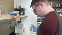 John Labella works in lab