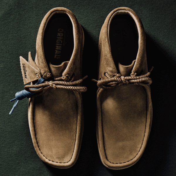 Shop the Scout Collection