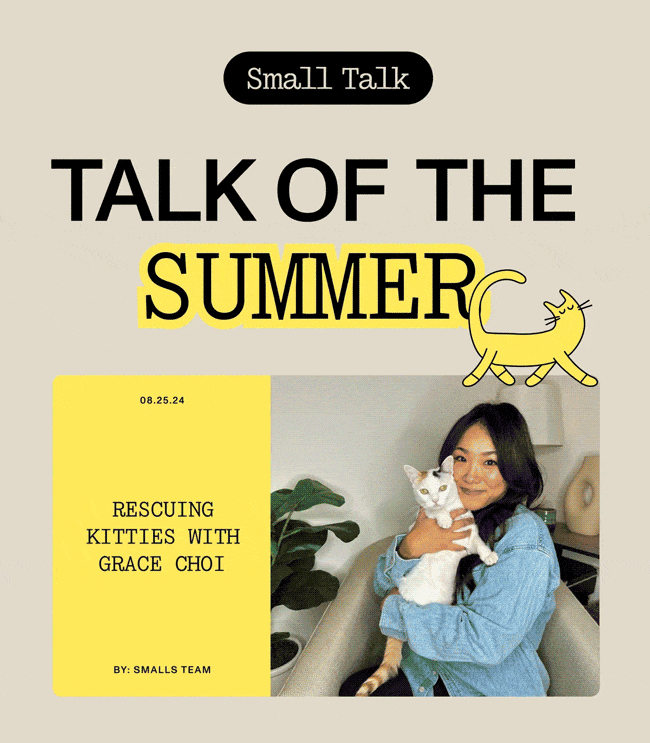 Small Talk. Talk of the summer. By: Smalls Team