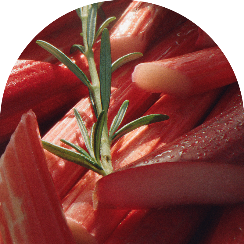 Image of rhubarb macro