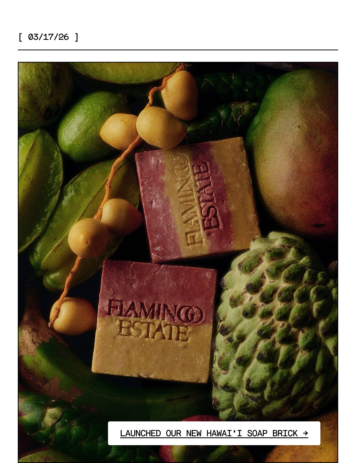 Hawai'i Soap Brick