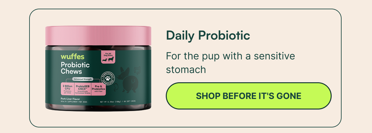 Daily Probiotic